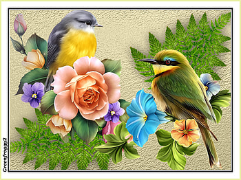 BIRD COLLAGE, COLLAGE, , ABSTRACT, BIRD HD wallpaper