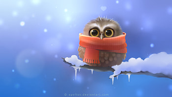 Cute Owl, cute, owl, digital-art HD wallpaper