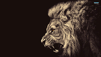 Colorful lion - Digital Art - HD wallpaper