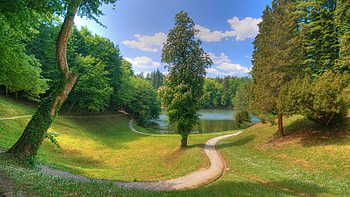 Full Green Relaxing Nature HD wallpaper