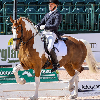 Adiah, Dressage HD phone wallpaper