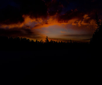 Nature, Trees, Sunset, Sky, Clouds HD wallpaper