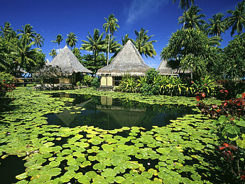 cottages, nature, green, lillies, cabin HD wallpaper