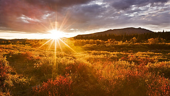 glorious sunset in alskan autumn, clouds, autumn, meadow, sunset, mountain HD wallpaper