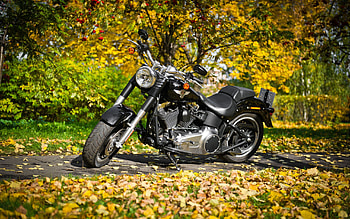 Autumn, Leaves, Motorcycles, Bike, Harley HD wallpaper