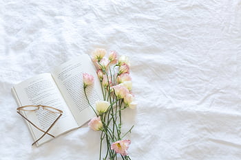 A serene top view of an open book with flowers on a white blanket. HD wallpaper