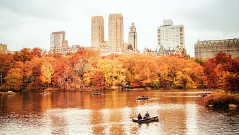 boating in central park lake in autum, city, boats, autumn, forest, lake, park HD wallpaper
