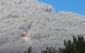 Winter, Nature, Trees, Snow, Shine, Light, House HD wallpaper