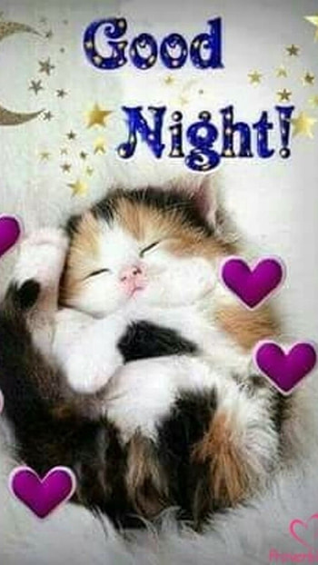 Good Night, Message Background Aesthetic HD phone wallpaper