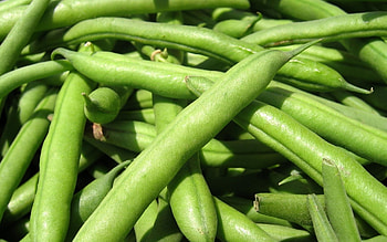 Green beans , Vibrant green beauty, Nature's bounty, Freshly picked HD wallpaper