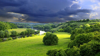 Preview clouds, cloudy, sky, gloomy, gray, bushes, summer HD wallpaper
