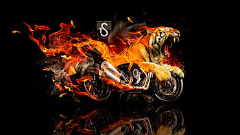 Moto Ducati Diavel Tiger, black, art, tiger, big cat, motorcycle, moto, orange, pisici, fantasy, tony kokhan, diavel, tigru, ducati, fire HD wallpaper