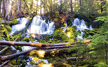 Clearwater Falls Oregon, autumn, trees, forest, usa, river HD wallpaper