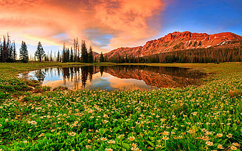 Highline Sunset Panorama in the Uinta Mountains, Utah, wildflowers, clouds, trees, colors, sky, usa, pond HD wallpaper