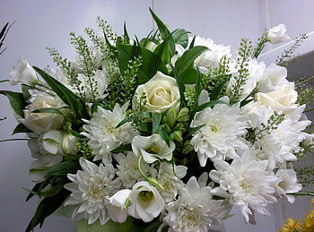 Flowers, Roses, Chrysanthemum, Bouquet, Snow White HD wallpaper