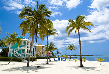Cayman Islands, Travels, 3 islands to explore, Diver magazine HD wallpaper