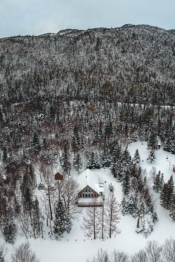 Winter, Nature, Trees, Snow, View From Above, Mountain, House HD phone wallpaper