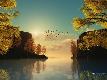 Autum Lake, autum, sun, lake, tree HD wallpaper
