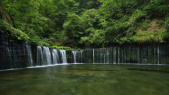 Trees, lake, waterfall, nature, forest HD wallpaper