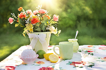 Flowers, Food, Tablewares, Lime, Vase HD wallpaper