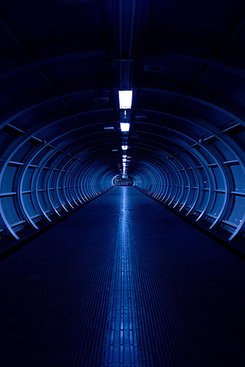 Miscellanea, Miscellaneous, Corridor, Premises, Room, Symmetry HD phone wallpaper