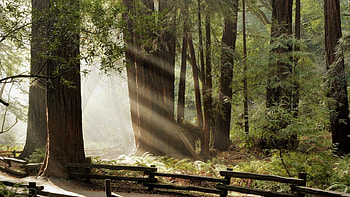 Not in the city, m HD wallpaper
