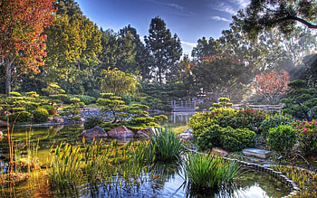 Landscape, Nature, Shine, Light, Vegetation, Color, Colors, Garden, Pond HD wallpaper