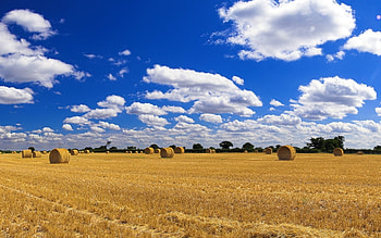 Landscape, Fields HD wallpaper
