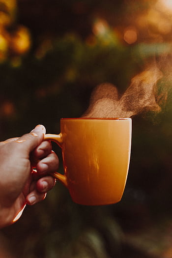 Hand holding a steaming orange mug outdoors in warm morning sunlight, creating a cozy atmosphere. HD phone wallpaper