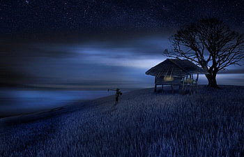 Life, night, blue, moon, field, man, house, tree HD wallpaper