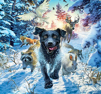 Running, raccoon, veverita, fox, bunny, fantasy, deer, iarna, snow, caine, squirrel, winter, dog, animal, vulpe, bufnita, bird, art, owl, pasari HD wallpaper