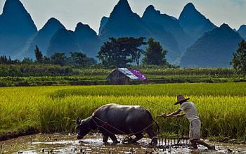 Backgrounds Farming . HD wallpaper
