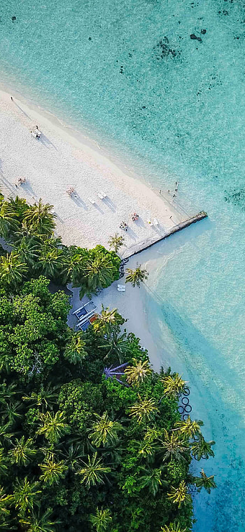 Maldives island, Tropical aerial view, Beach , Serene beauty HD phone wallpaper