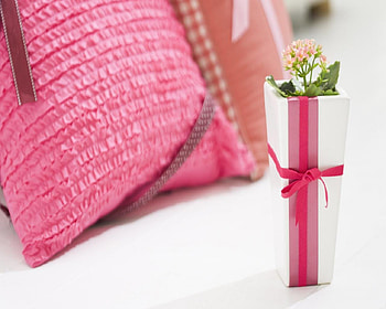 Girly Decor, pink cushion, vase, ribbon, flower HD wallpaper
