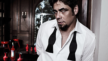 Benicio Del Toro, , actor HD wallpaper