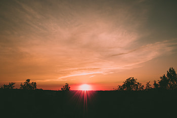 Nature, Trees, Sunset, Sky, Sun, Horizon HD wallpaper