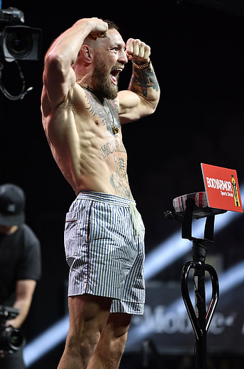 Conor McGregor, Punter punched, Dublin pub HD phone wallpaper