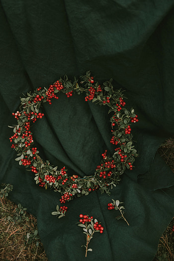 Berries, Miscellanea, Miscellaneous, Bunches, Clusters, Wreath, Cowberry, Lingonberry HD phone wallpaper