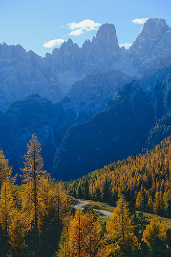 Nature, Trees, Mountains, Autumn, Fog, Path HD phone wallpaper