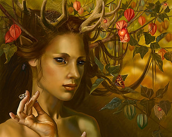 Autumn Fairy, plant, leaves, physalis, art, blossoms, woman HD wallpaper