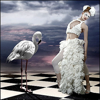 LIKE A BIRD, white, bird, chess, sky, , dress, woman HD wallpaper