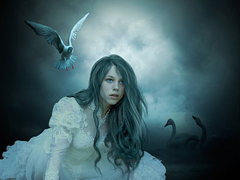 Hope Princess, night, hope, bird, fantasy HD wallpaper