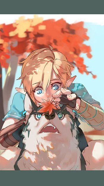 Zelda, game, fantasy, breatheofthewild, legend, link, rpg, legendofzelda HD phone wallpaper