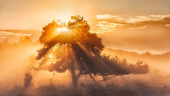 Sun, backgrounds, , Sun worship HD wallpaper