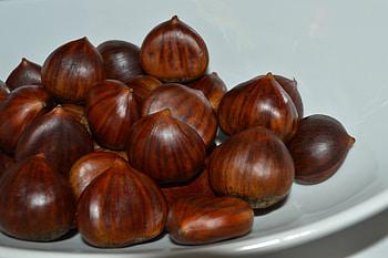 Secret to roasted chestnuts, Expert advice, Dr. David Ludwig, Perfectly cooked HD wallpaper