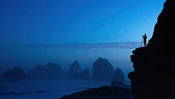 Capturing The Nature, graphy, alone, artist, artwork, digital-art HD wallpaper