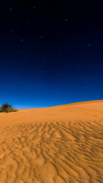 Desert Adventure, , Desert landscapes, Nature's allure HD phone wallpaper