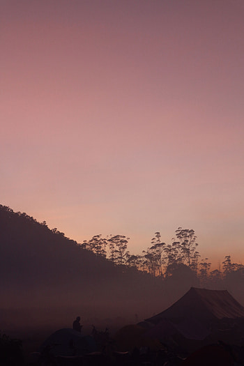 Nature, Twilight, Fog, Dusk, Camping, Campsite, Tents HD phone wallpaper