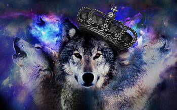 30 Cool Wolf And HD wallpaper