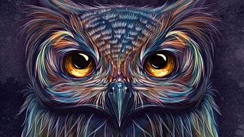 Owl Colorful Art , owl, colorful, artist, artwork, digital-art HD wallpaper